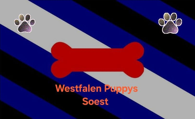 Logo von Westfalen Puppys Soest