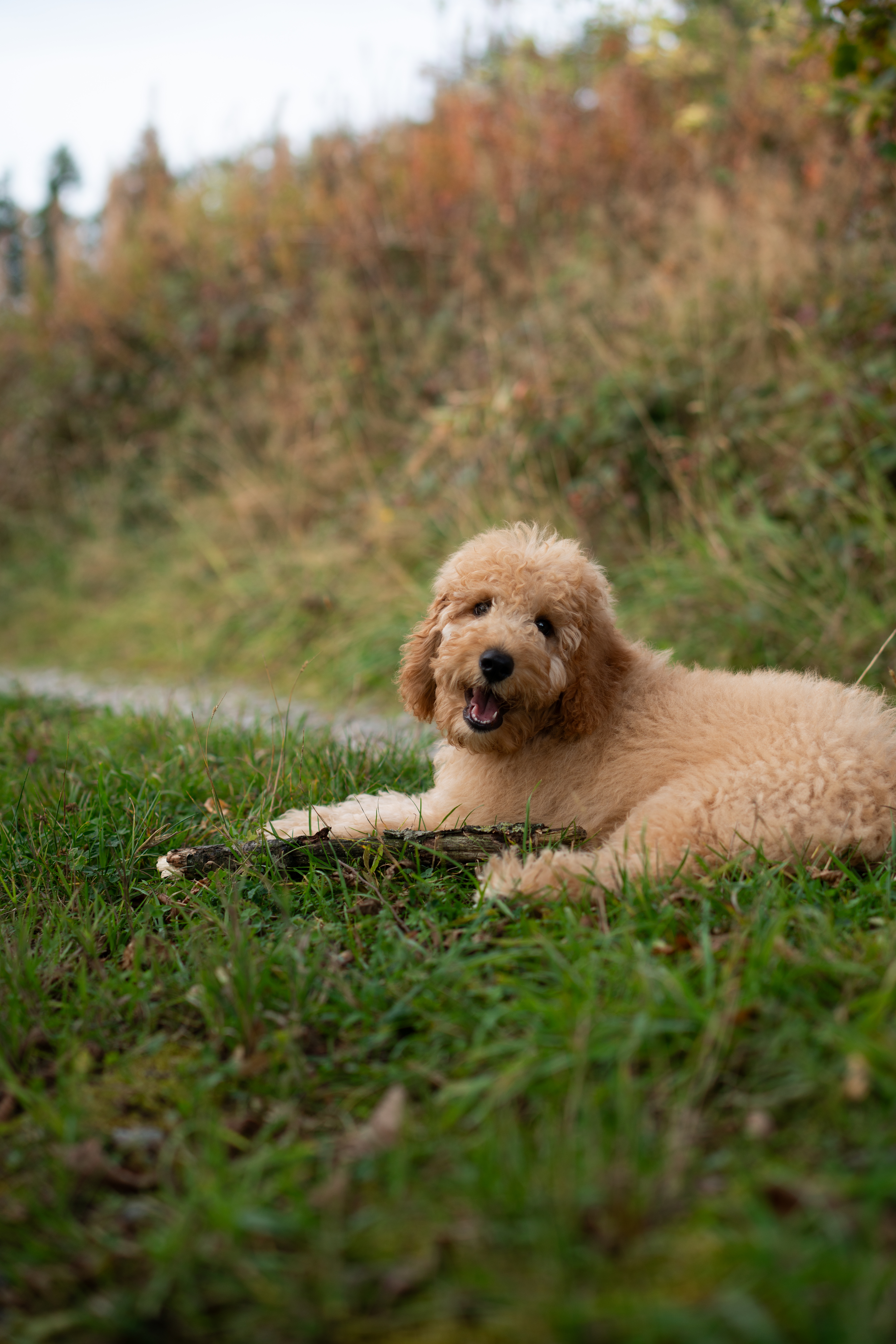 Spontan Portrait
