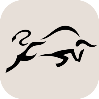 TorresBoehmeConsulting Logo